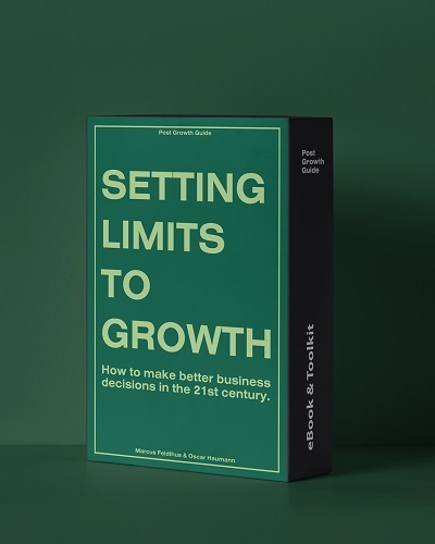 setting limits to growth book