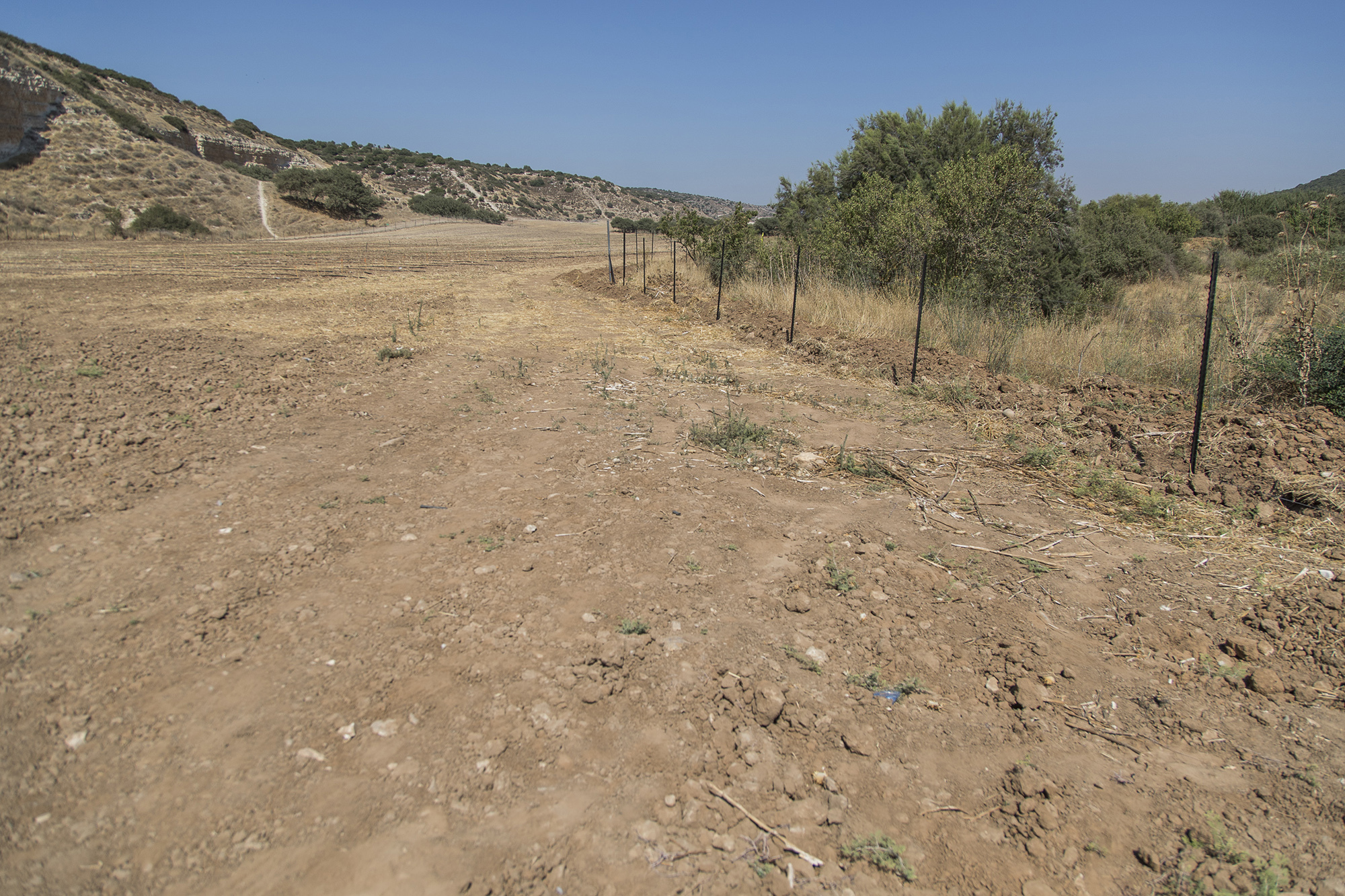 israel-empty-field