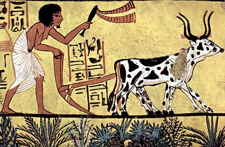 Ploughing in Ancient Egypt